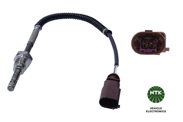 Sensor Abgastemperatur