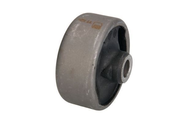Querlenker Silentblock vorne
