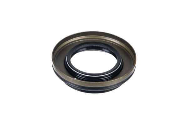 Wellen Dichtring Differential