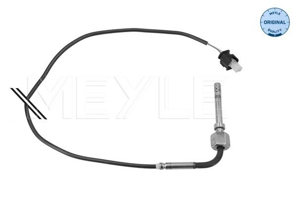 Sensor Abgastemperatur