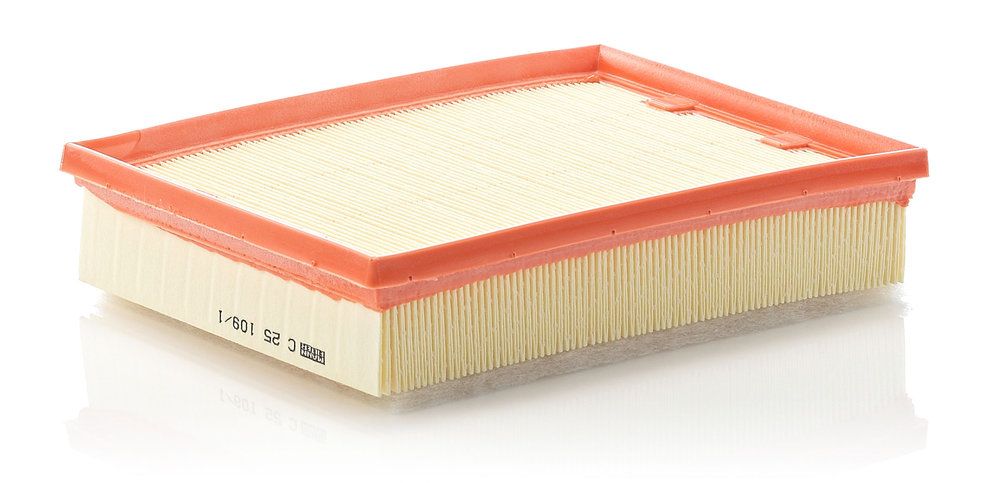 Luftfilter Motorluftfilter Filter