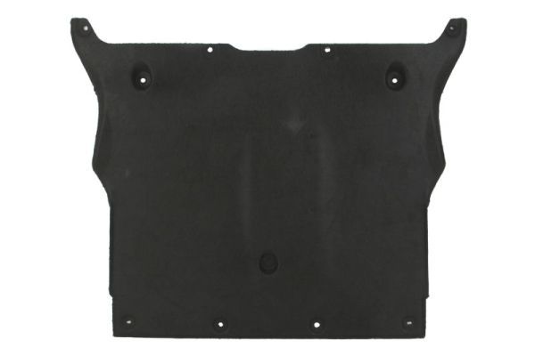 Unterfahrschutz Motorschutz
