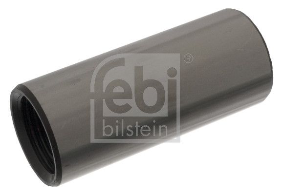 Federbuchs Blattfeder