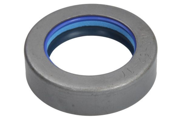 Wellen Dichtring Differential