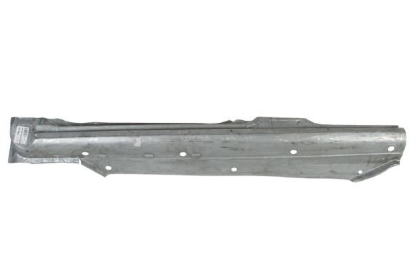 Einstiegsblech Schweller
