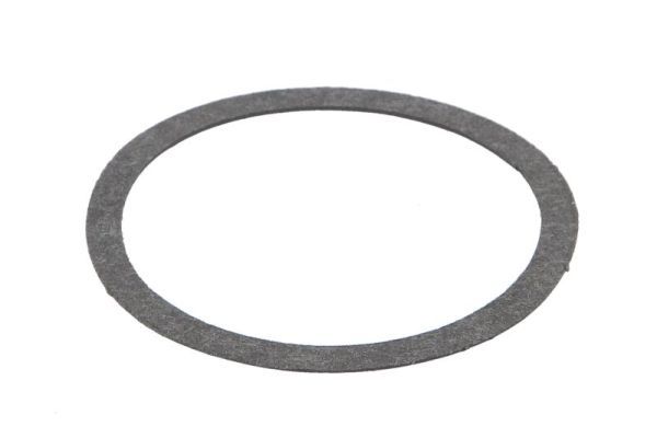 Dichtung Thermostat