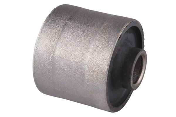 Querlenker Silentblock hinten