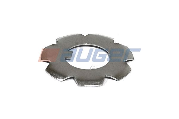 Sicherungsscheibe Antriebsflanschbefestigung Differential