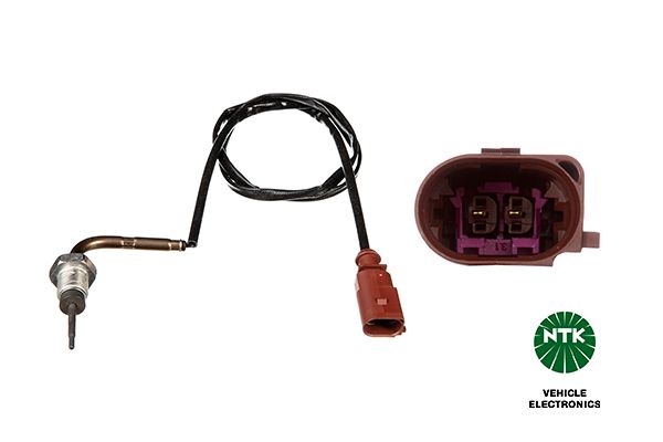 Sensor Abgastemperatur