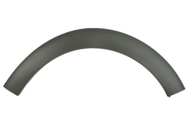 Body Strip