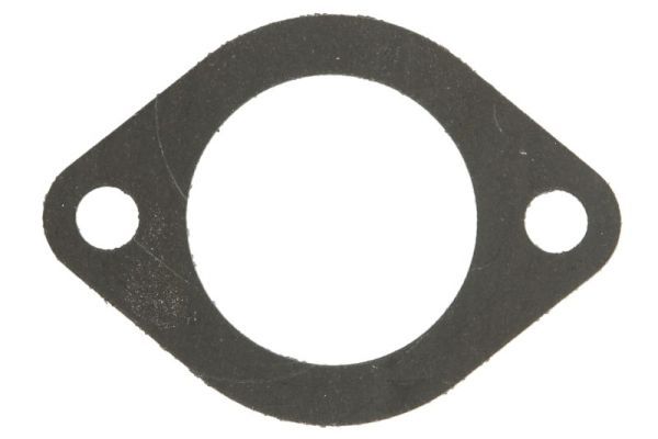 Dichtung Thermostat