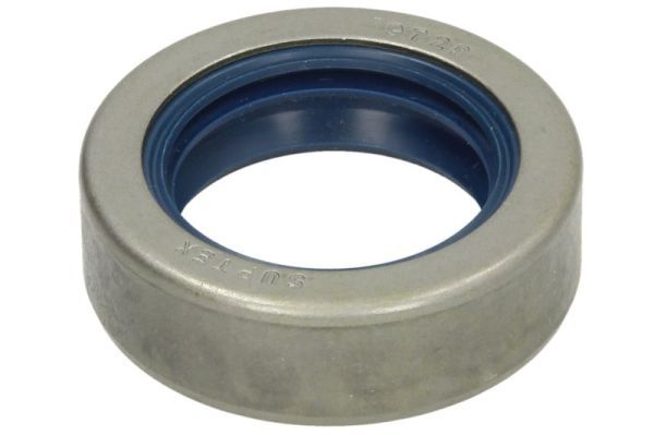 Dichtung Differential