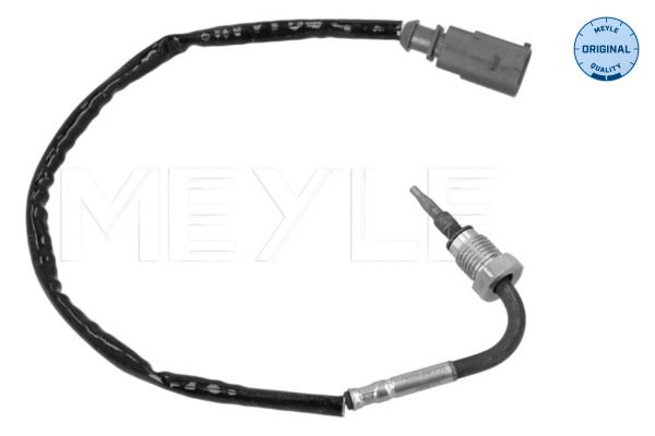 Sensor Abgastemperatur