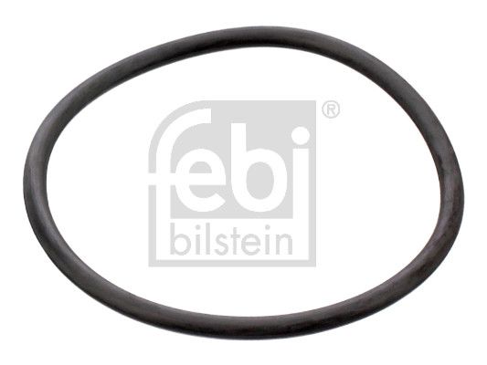 Dichtung Thermostat