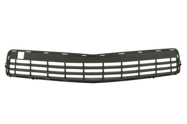 Stoßstange Gitter