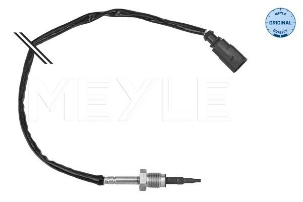 Sensor Abgastemperatur
