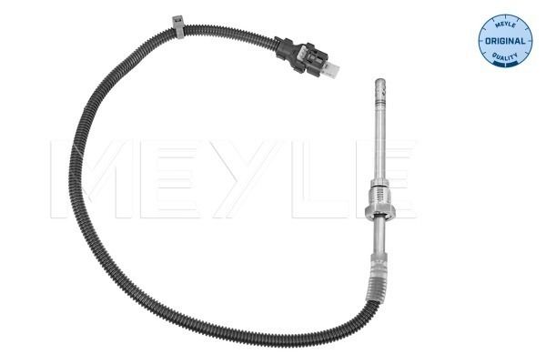 Sensor Abgastemperatur
