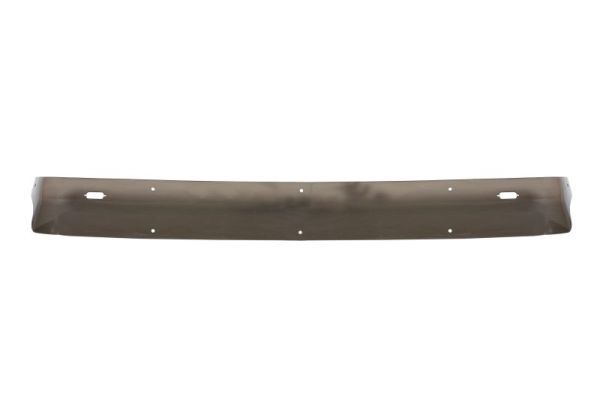 Sonnenblende