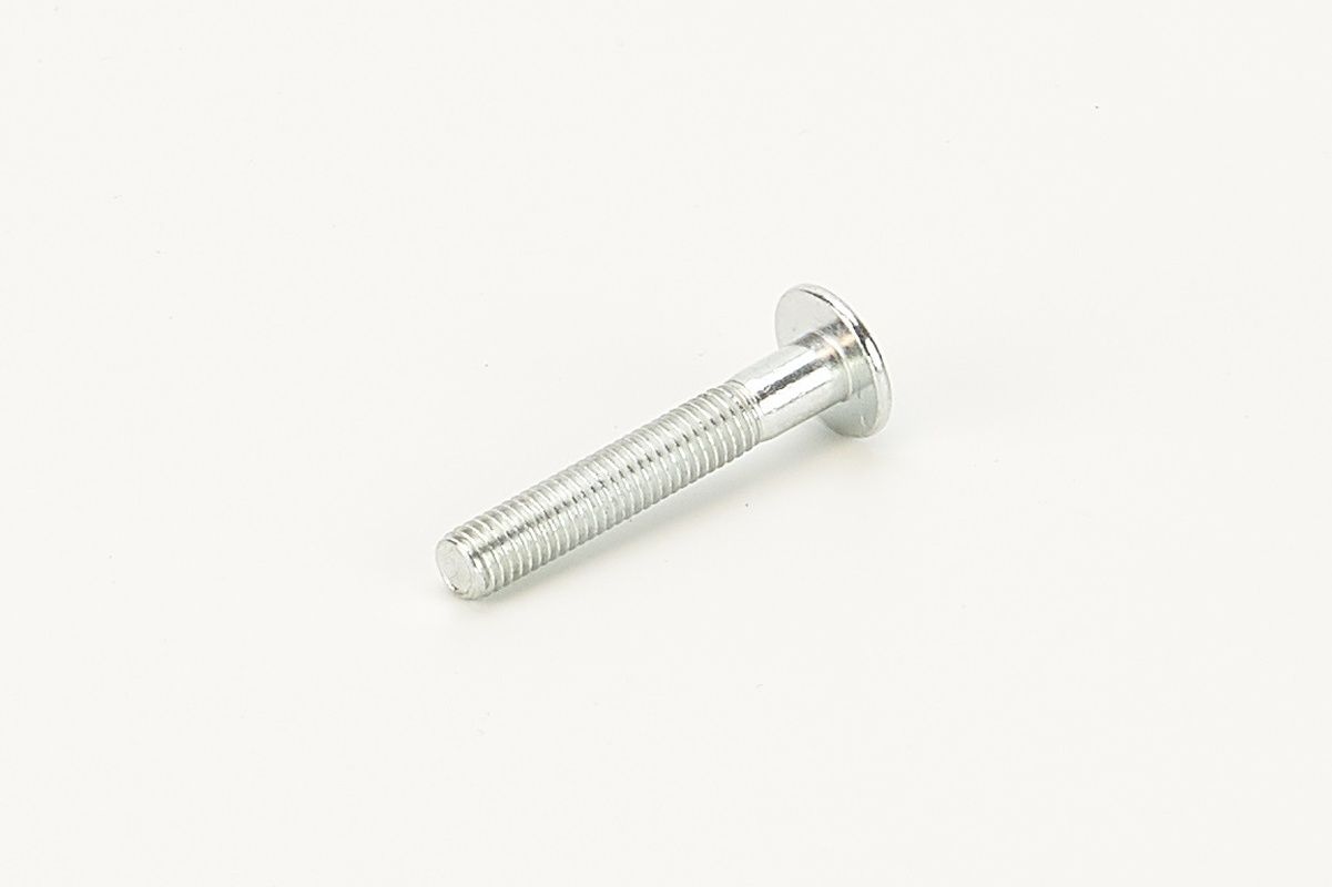 Spannrollenschraube