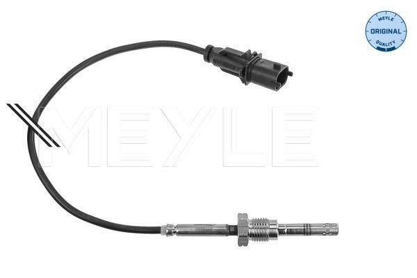 Sensor Abgastemperatur