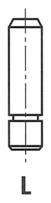 Ventilführung