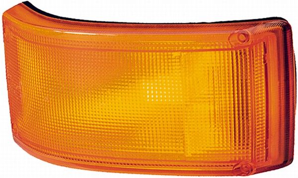Blinker Blinkleuchte