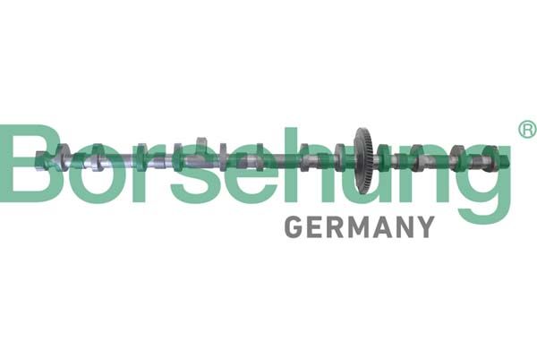 Exzenterwelle, Nockenwellenverstellung
