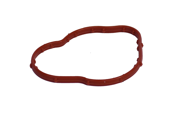 Dichtung Thermostatgehäuse