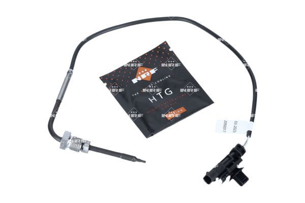 Sensor Abgastemperatur
