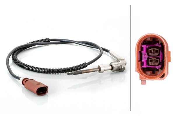 Sensor Abgastemperatur