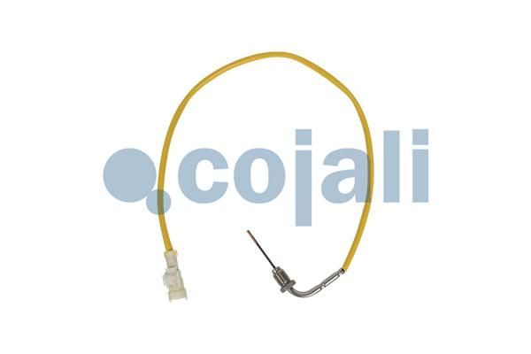 Sensor Abgastemperatur
