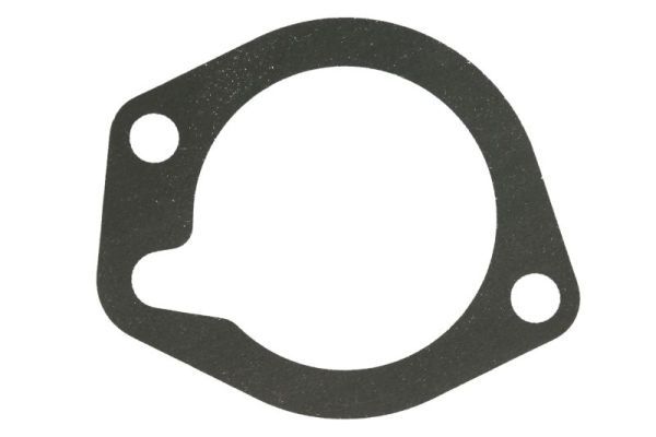 Dichtung Thermostat