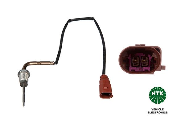 Sensor Abgastemperatur