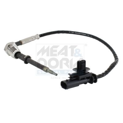 Sensor Abgastemperatur