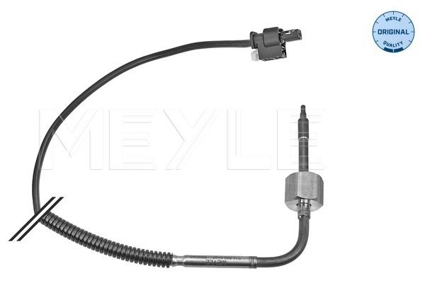 Sensor Abgastemperatur