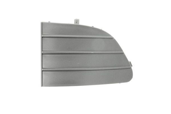 Stoßstange Gitter