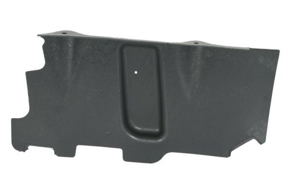 Unterfahrschutz Motorschutz