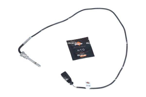 Sensor Abgastemperatur