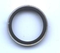 Dichtung Dichtring