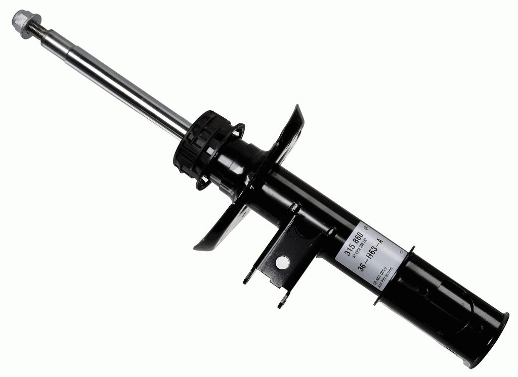 Stoßdämpfer Federbein