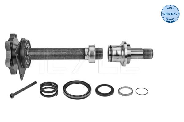 Steckwelle Differential