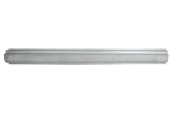 Einstiegsblech Schweller