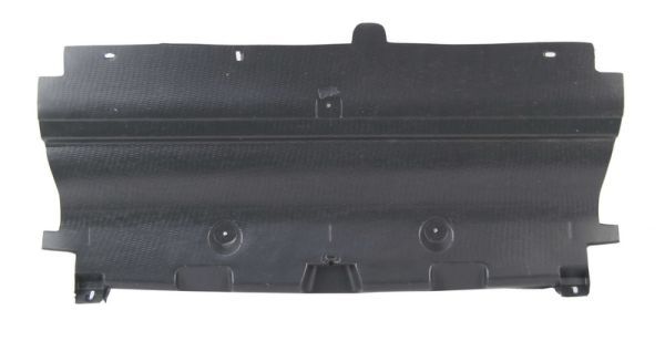 Unterfahrschutz Motorschutz