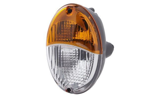 Blinker Blinkleuchte