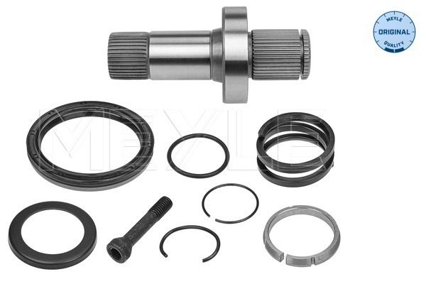 Steckwelle Differential