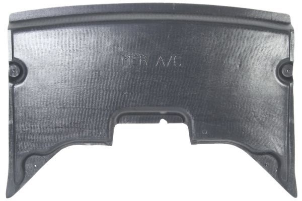 Unterfahrschutz Motorschutz