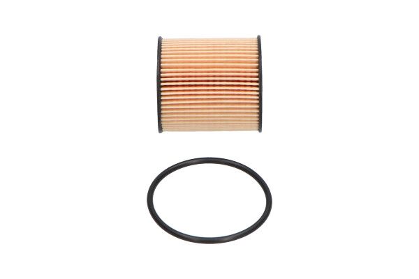 Ölfilter Öl Filter