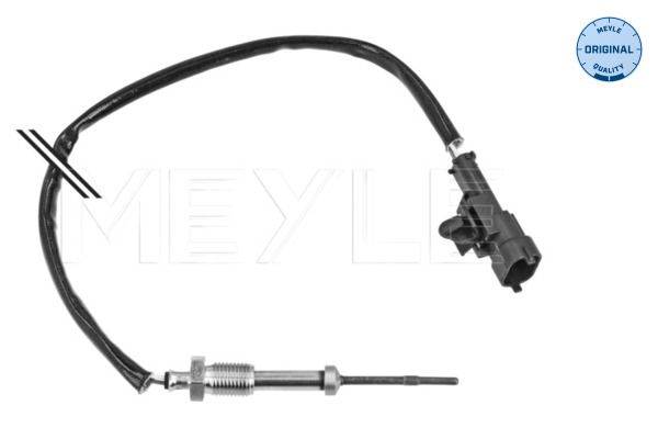 Sensor Abgastemperatur