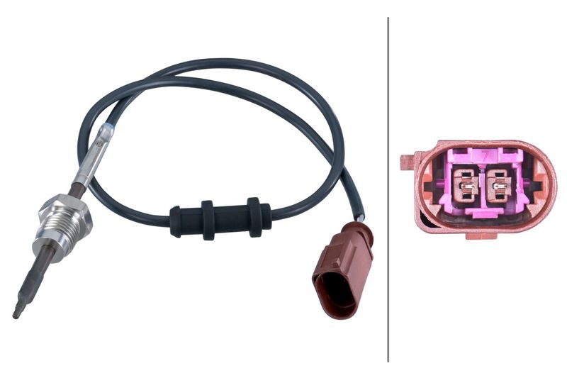 Sensor Abgastemperatur