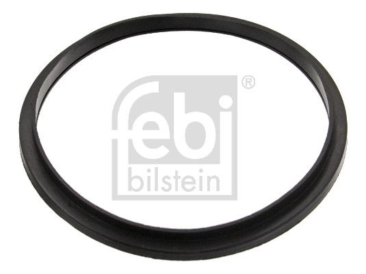 Dichtung Thermostat